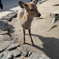 関西お仕事　転職✨