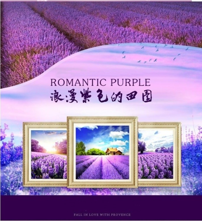 DIY浪漫簡約風5D鑽石畫~顏色:A薰之迷漫B紫色幸福C紫浪翻飛D春天E夏天F秋天G冬天 規格(長*寬)：A~G(30*30*cm)~~ 手工量測，略有誤差2cm 產品重量：約0.25Kg 材質：油畫