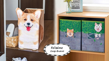 狗奴必收！超萌「燦笑柯基」vs.「鑽洞柴犬」置物籃，用笑容每天融化你的心