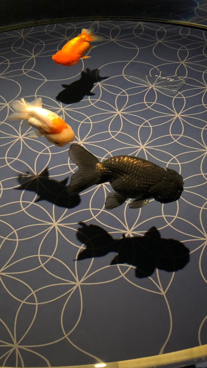 オープンチャットのオープンチャット