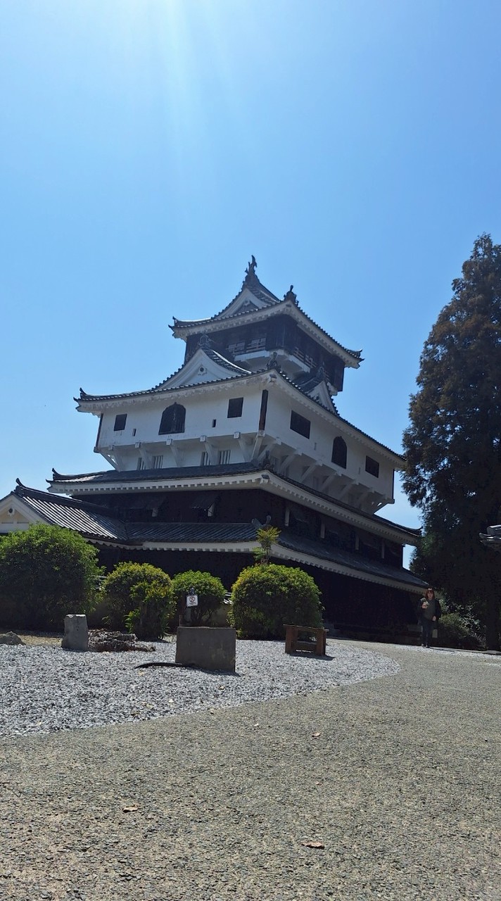 毘動画を楽しむお部屋