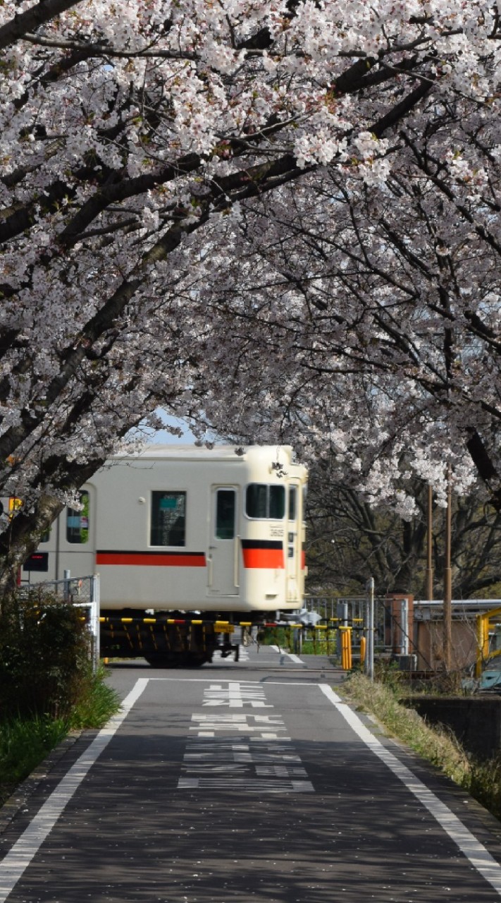 鉄道写真共有しましょう📸のオープンチャット