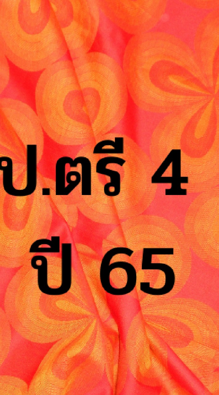ป.ตรี 4ปี 65