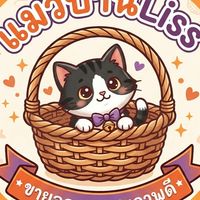 แมวบ้านLiss🐱