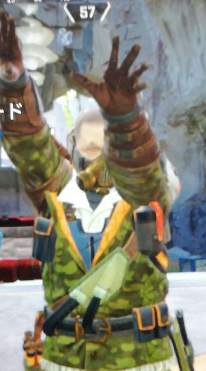 変なAPEXサークル(機種なんでも可)