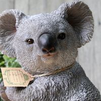 無尾熊 粉絲團