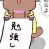 なんでも雑談