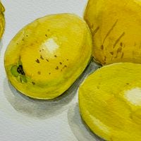 🎨《美日芩畫》愛畫畫