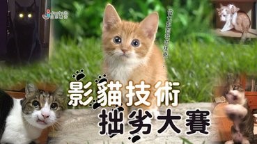 拍到主子這麼醜，奴才罪該萬死！