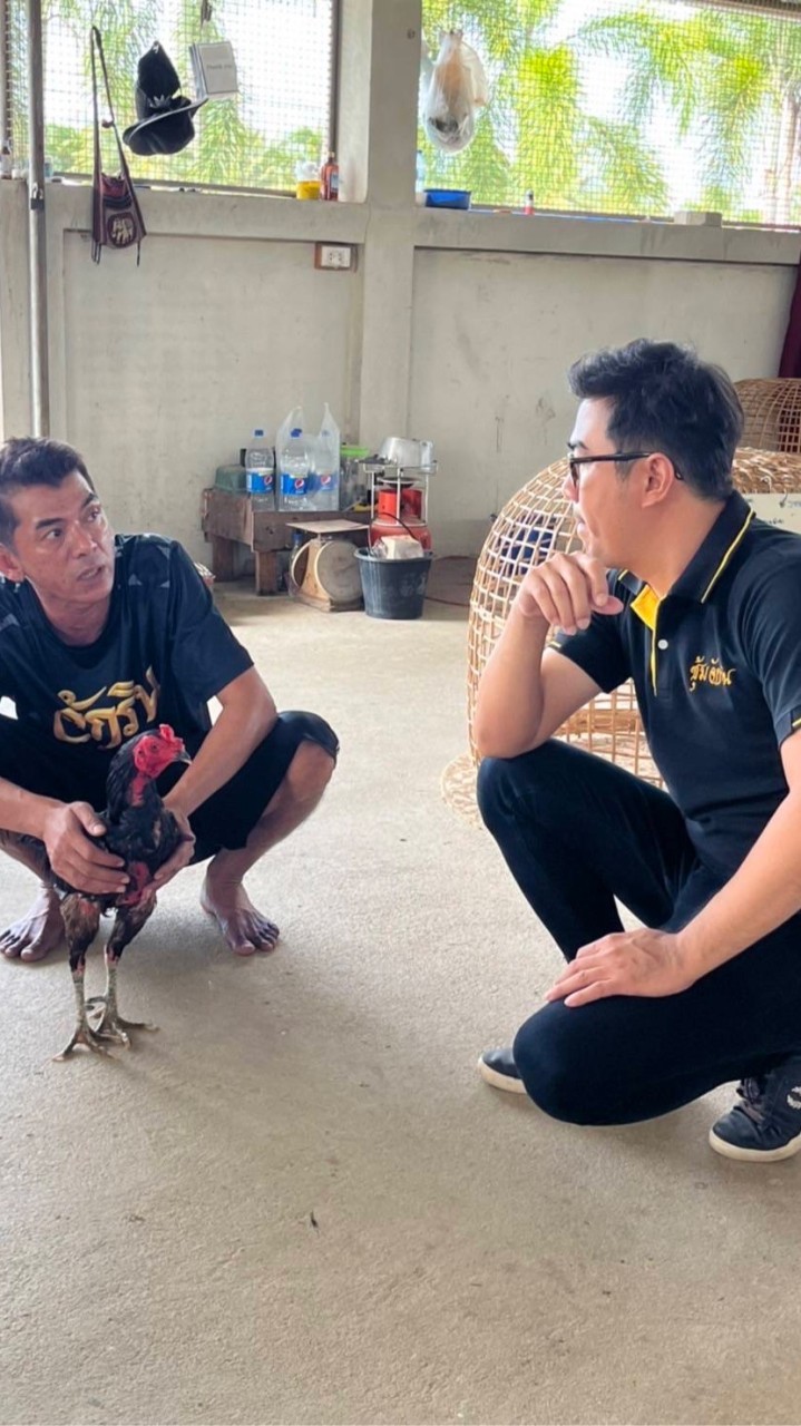จักรินกลุ่ม8  ไก่บ้านใหญ่