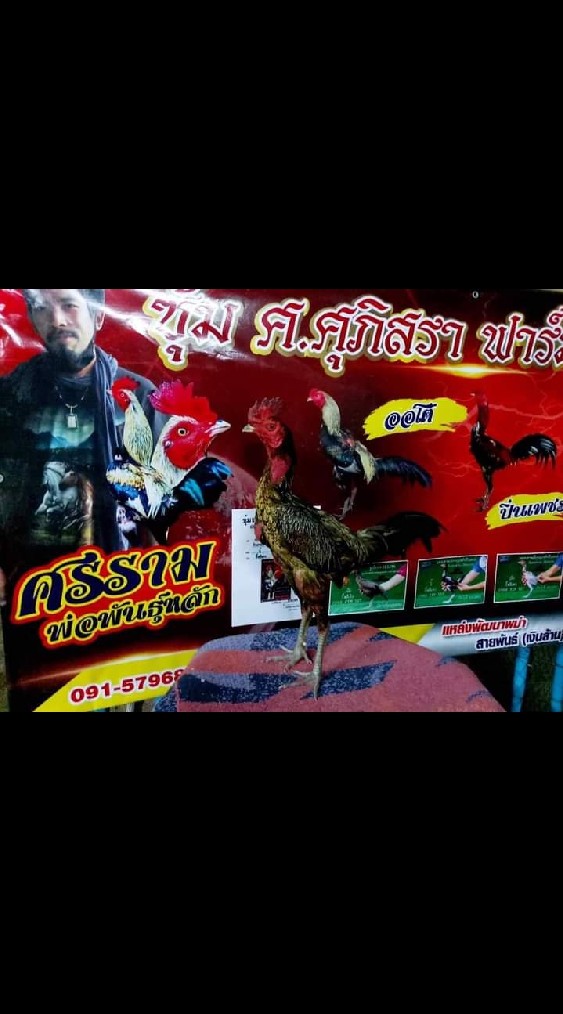 ซุ้ม ศ.ศุภิสรา หัวหิน