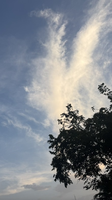 𝑺𝒕𝒐𝒓𝒚 𝒕𝒊𝒎𝒆