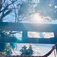 心癒される✨愛の言霊ヒーリング🔮開運のお部屋