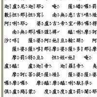毛小孩舒適的被窩