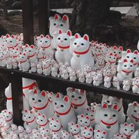 日本大阪&環球影城小代購🇯🇵11/11-11/18