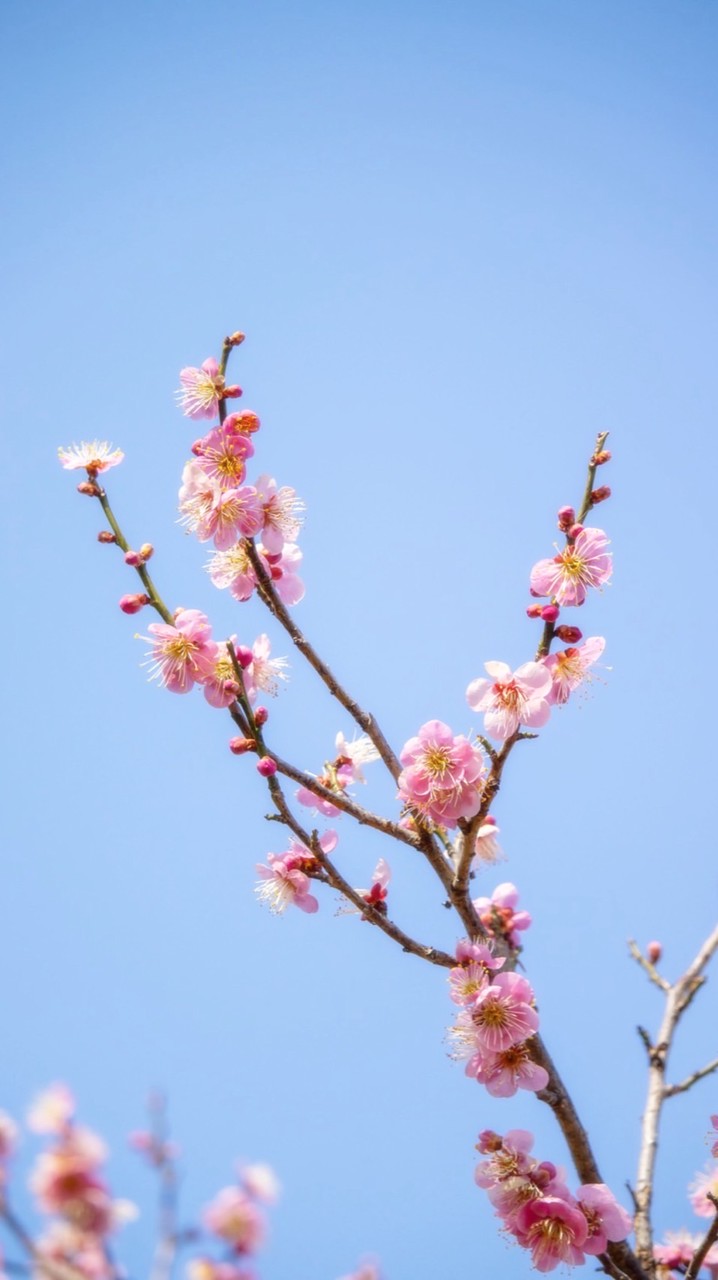 大阪大学写真部新歓2026