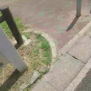 水広公園のundefinedに実際訪問訪問したユーザーunknownさんが新しく投稿した新着口コミの写真