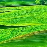 力康經絡霜
