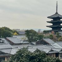 數字易經☯️免費解惑