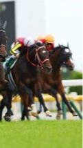 競馬初心者向けのオープンチャット