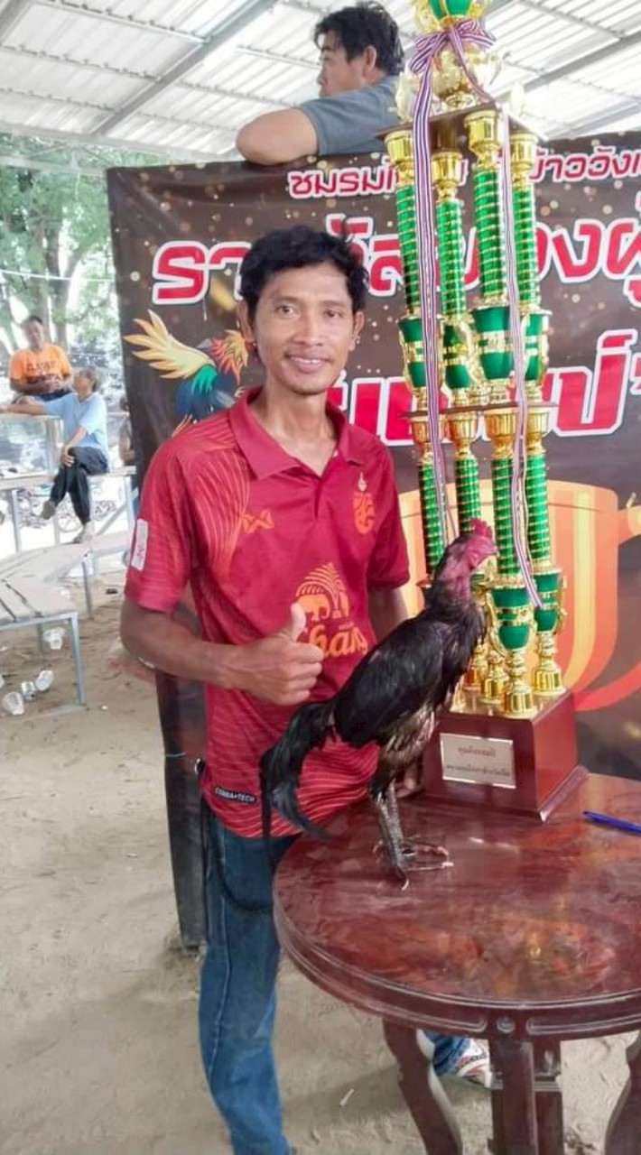 โชคศุภวิชญ์ ฟาร์ม