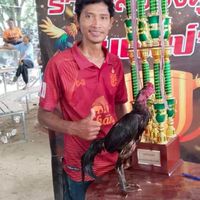 โชคศุภวิชญ์ ฟาร์ม