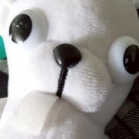 巧翎公告群𓂃⊹