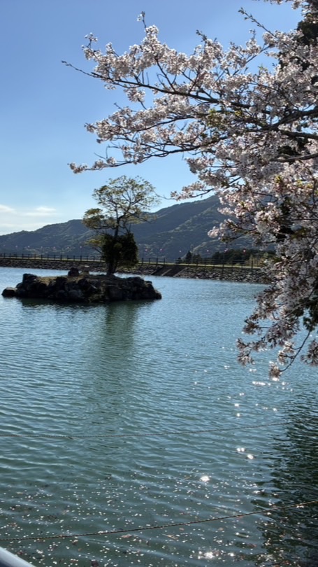 安芸市防災士会【情報共有用】