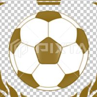 イーフト　フレマ＆大会