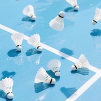 江戸川NICEバド🏸