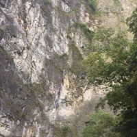 大花蓮找工作求職網