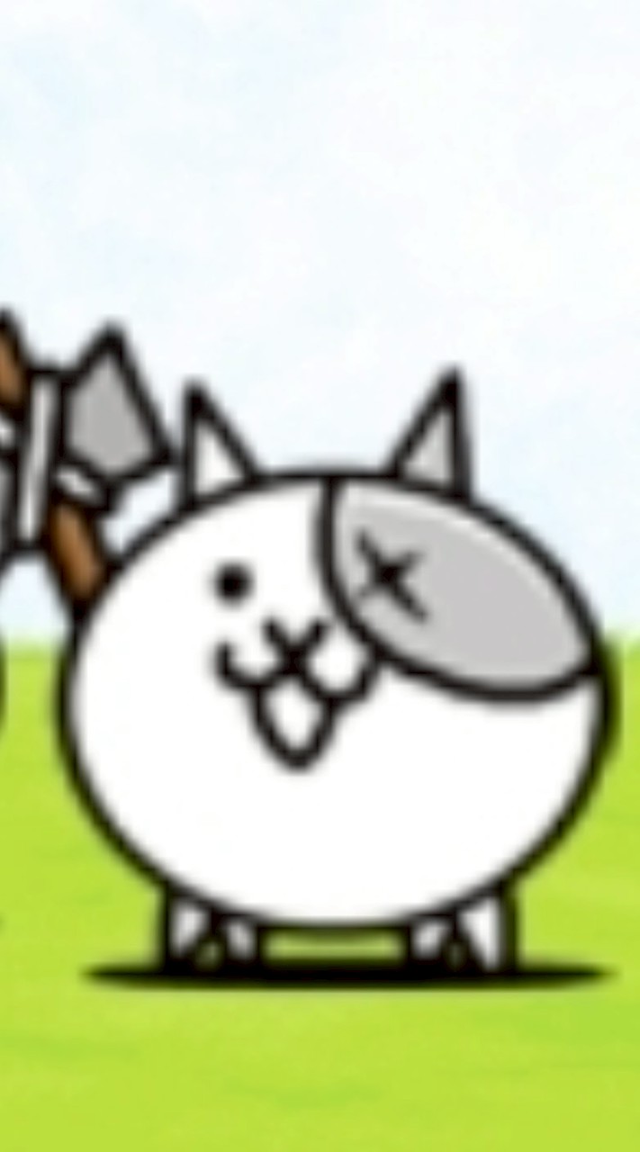 にゃんこ部屋