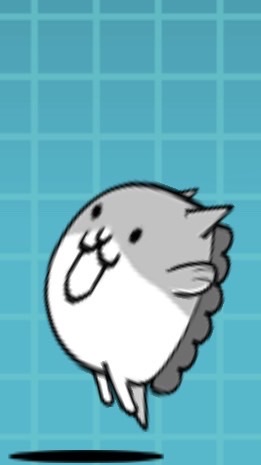 にゃんぼう教