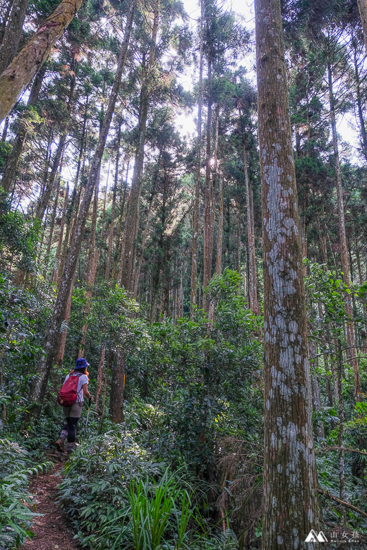 山女孩Melissa_苗栗南庄_向天湖山_飛機殘骸_三角湖山-6856.jpg