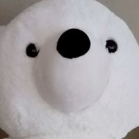 お喋りしよう！だれでもまる‼️