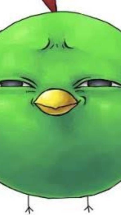 自由の翼のオープンチャット