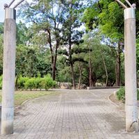 45+50+60+再度重相逢