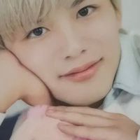 timelesz、篠塚大輝推しの子集まれ