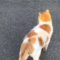 JPMY