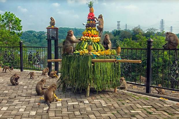 Gua Kreo Legenda Kawanan Kera Dan Tempat Petilasan Wali Songo