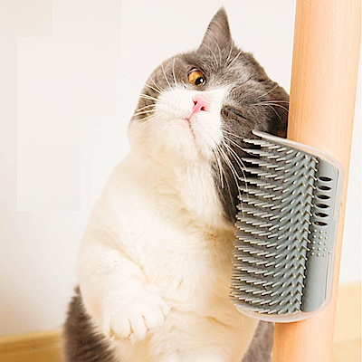 dyy》貓牆角蹭毛器貓咪撓痒癢玩具轉角按摩梳(顏色隨機出貨)