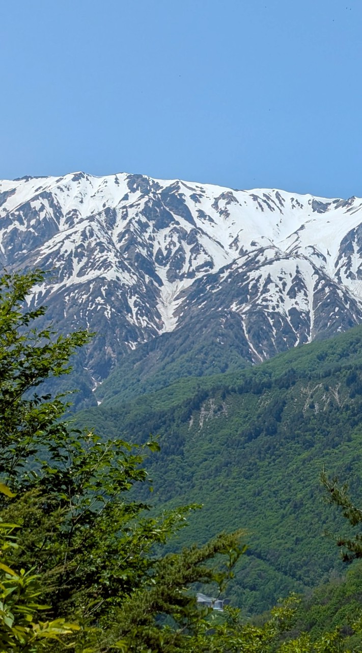 【埼玉周辺】登山仲間募集🏔️