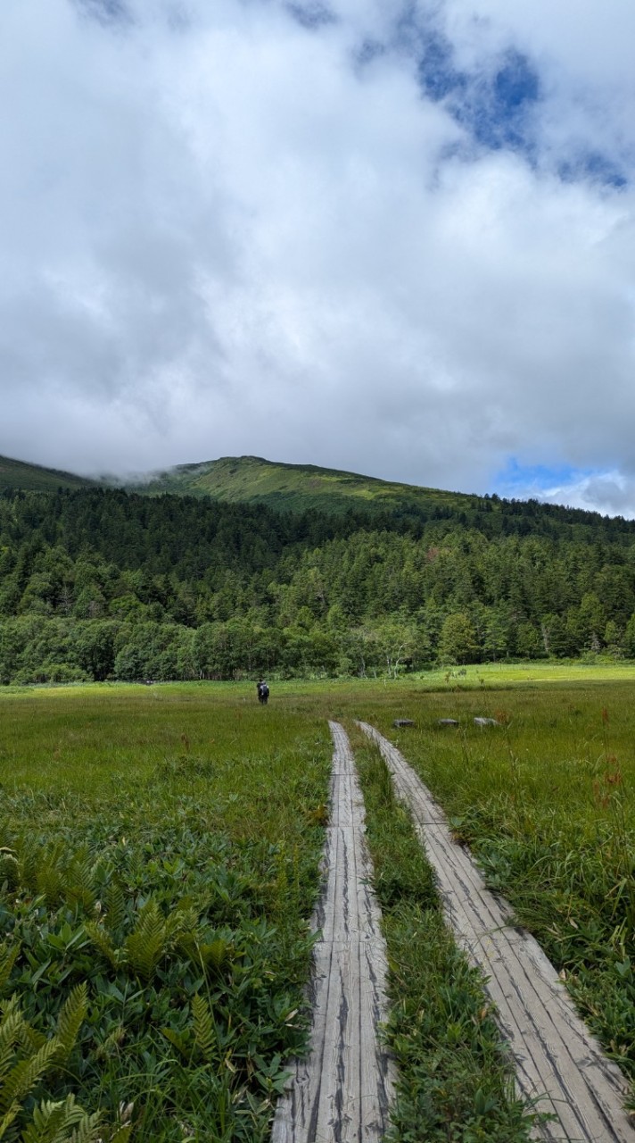 【埼玉周辺】登山仲間募集🏔️