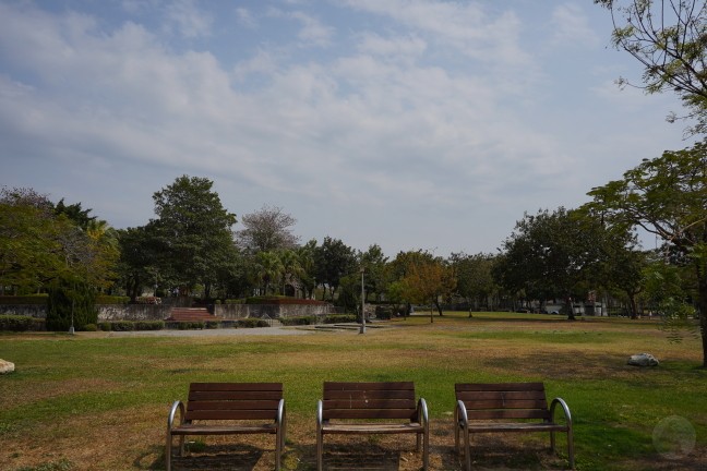 台中公園,台中東英公園,台中洋紅風鈴木,東英公園,東英公園網球場,松鼠公園,洋紅風鈴木,苦楝花,阿勃勒