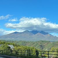 ワンコ💚八ヶ岳南麓