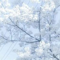無聊人群O⁠_⁠o