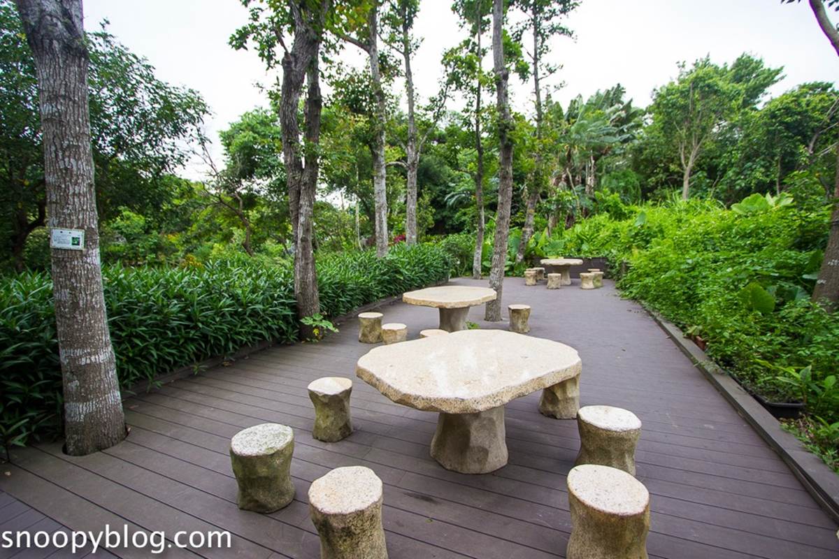 新北人放空首選！五股區６處私房景點：農場內「瀑布祕境」、森林磨石子滑梯