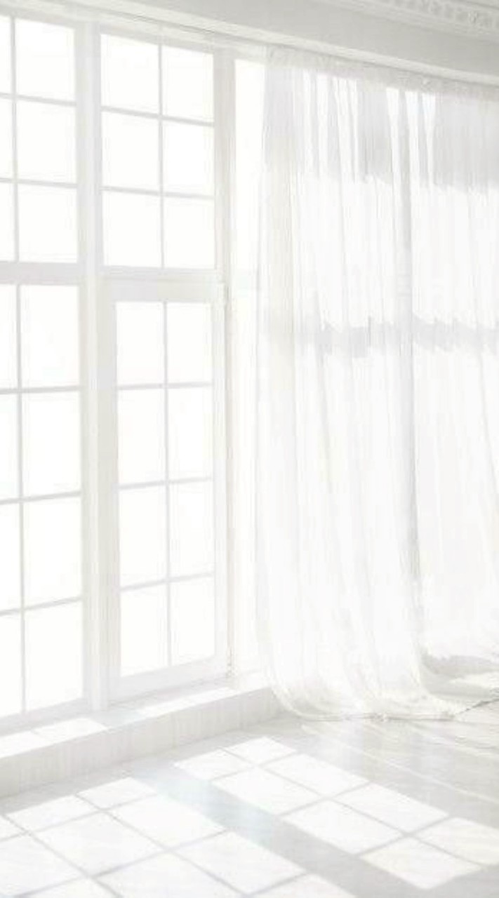 一目で僕は恋に落ちました。