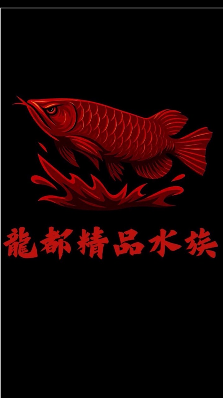 龍都精品水族龍🐉