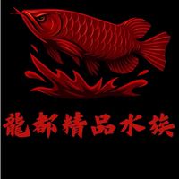 龍都精品水族龍🐉